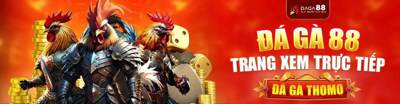 Sới đá gà trực tuyến sôi động tại King79